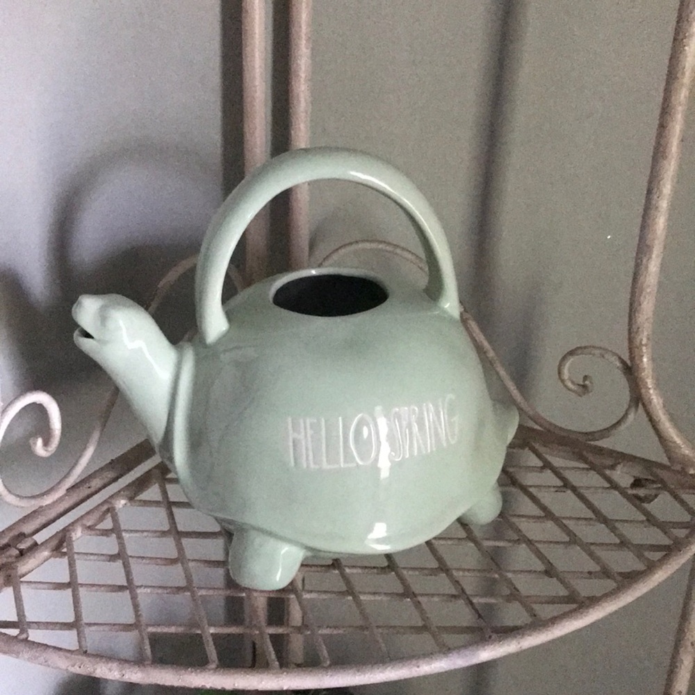 Rae Dunn watering turtle